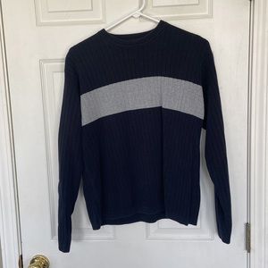 Blue and Grey GAP sweater
